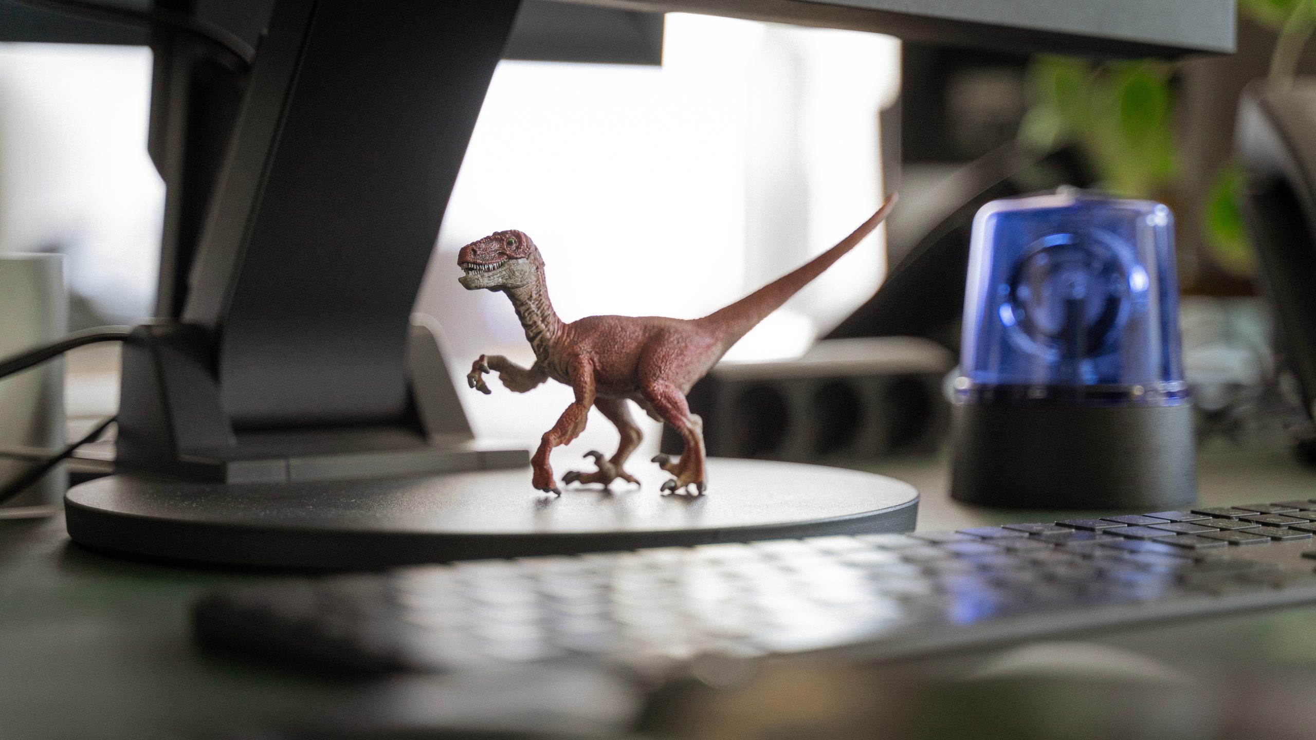 bung_about_us_240910lk_3